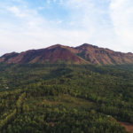 View from Java Rain Chikmagalur