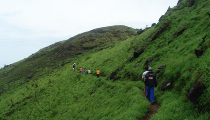 Kemmanagundi trek